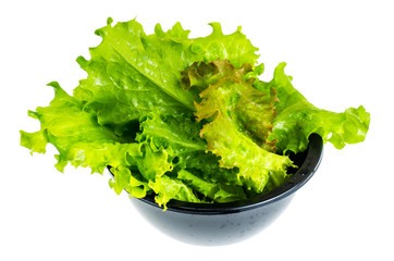 Leaves of fresh green salad