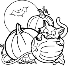 Cat with Pumpkins