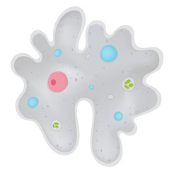 Amoeba Cell