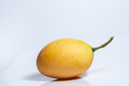 Plango white background