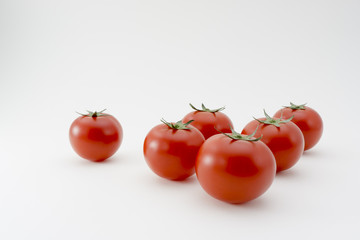 白バックのトマト