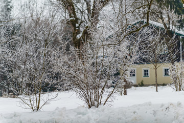 Landscape with hoarfrost on the branches near the lake Zell am See. Austria