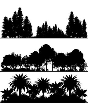 Silhouettes of the forest
