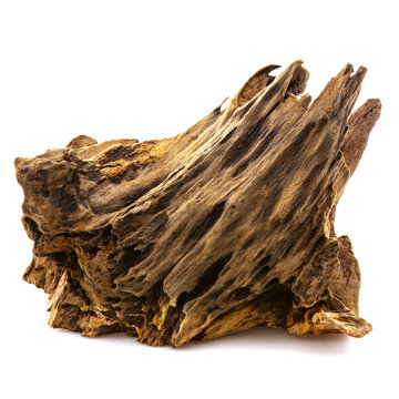 Piece of well worn driftwood on a white background