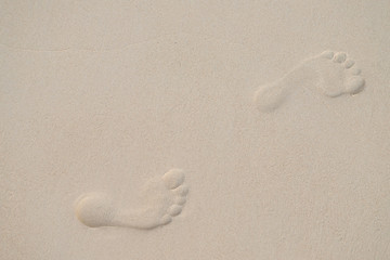Footprints  in the sand walking on the beach in sunny day of summer.