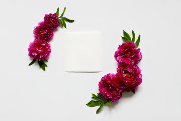 flower  composition of peonies on a white background