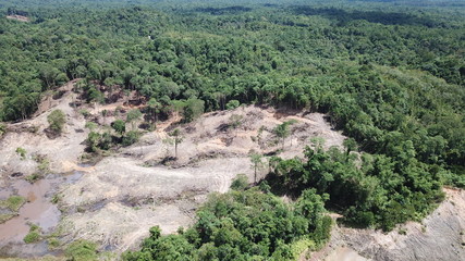 Deforestation. Borneo rainforest destroyed to make way for oil palm plantations  