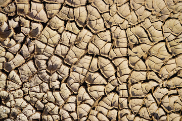Fototapeta premium Dry ground cracked from hot air