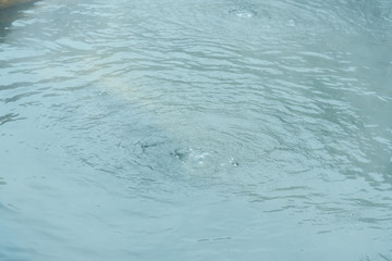 Water in thermal springs