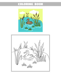 Coloring Book Pond Duck