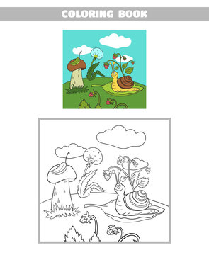 Coloring Book Forest Snail