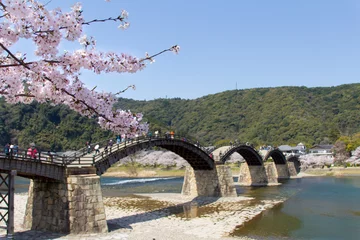 Photo sur Plexiglas Le pont Kintai 春の錦帯橋／桜／山口県岩国市