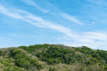 Fototapeta na wymiar 神奈川三浦半島　春の山から望む青空と雲２