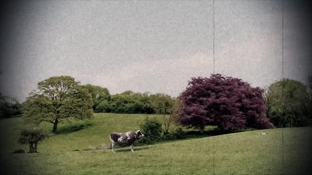 UFO alien abduction cow ufo unidentified flying object aliens close encounter 4k