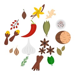 Spice icons set in flat style isolated vector illustration