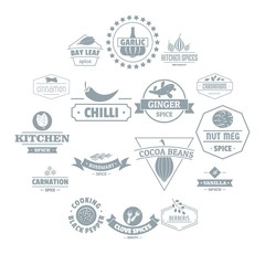 Spice logo icons set. Simple illustration of 16 spice logo vector icons for web