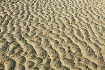 Close up sand background image for natural background and summer design.