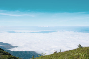Sky, mountain, forest, fog and beautiful views.