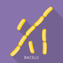 Bacilli icon. Flat illustration of bacilli vector icon for web design