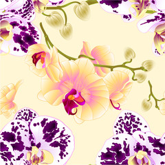 Seamless texture orchids yellow  and spotted Phalaenopsis stems with flowers and  buds vintage  vector  illustration editable hand draw