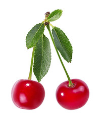 Cherry with leafs isolated on white background.