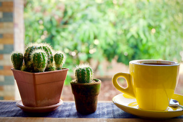 Coffee cup hot and cactus nature 
