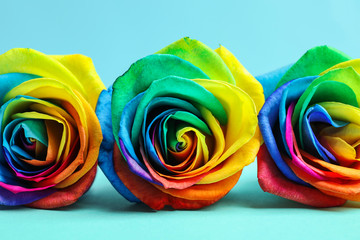Rainbow rose flowers on table against color background