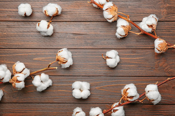 Cotton flowers on wooden background