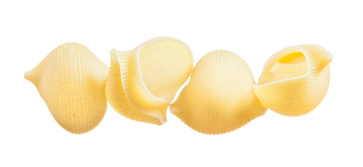 Uncooked short-cut pasta shells isolated on white