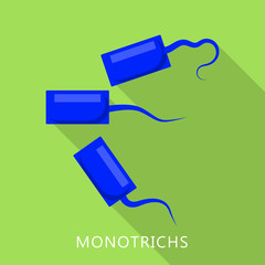 Monotrichs icon. Flat illustration of monotrichs vector icon for web design