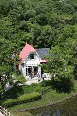 Fototapeta na wymiar 森の中の赤い屋根の家