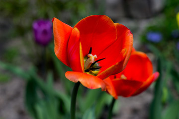 Fototapeta premium summer is very happy with bright colors