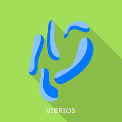 Vibrios icon. Flat illustration of vibrios vector icon for web design