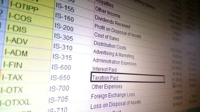 Electronic spreadsheet with information on taxation paid, financial report