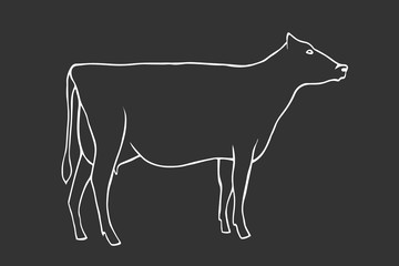 Hand Draw Cow