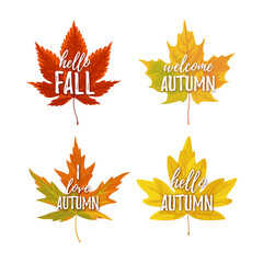 Vector illustration, Autumn greeting card