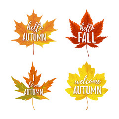 Vector illustration, Autumn greeting card