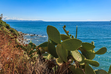 Küstenlanschaft, Küste in Piombino, Toskana, Italien