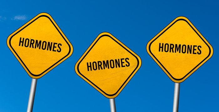 hormones - yellow sign with blue sky