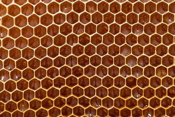 Honeycomb texture