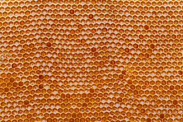 Honeycomb texture