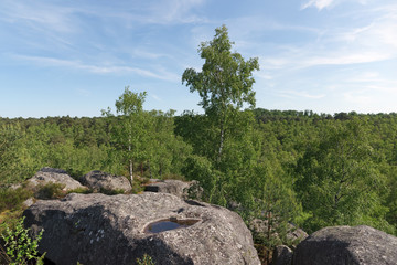 Fototapeta na wymiar Apremont rocks panorama in fontainebleau forest