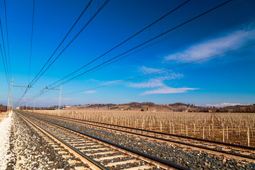 Fototapeta premium Winter morning in the vineyards of Collio, Italy