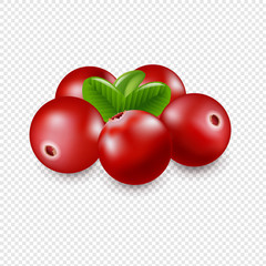 Granberry Isolated In Transparent Background