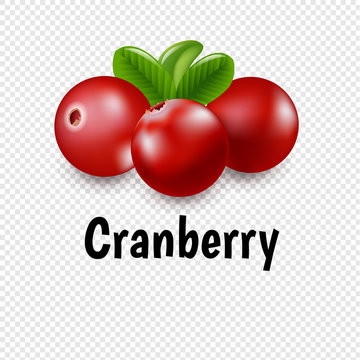 Granberry Set With Transparent Background