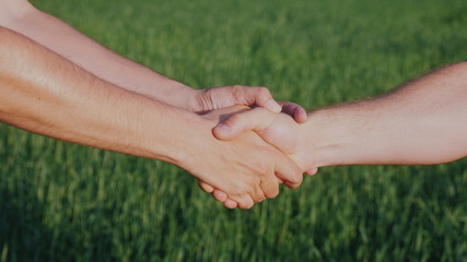 Friendly handshake of two male hands. Against the background of a green wheat field