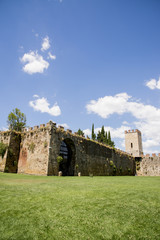 Fototapeta na wymiar New city walls in Pisa - Tuscany - Italy