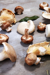 variety of raw mushrooms on grey table. oyster and other fresh mushrooms