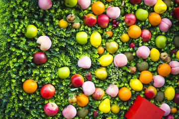 A composition of fruits on a white background. Pattern made from fresh fruits. Top view, flat design. Collage of plum, grapes, apples, flowers, nectarines.