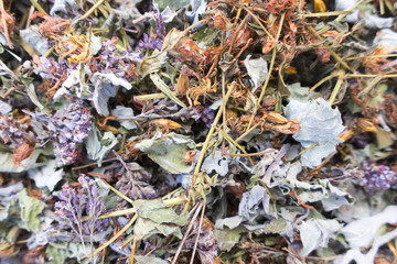 Collect dry herbs such as St. John's wort, matryoshka, currant leaves, mint, lemon balm